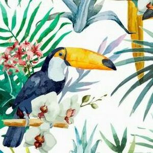 Meet your Posher, Johanna